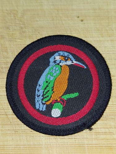 Girlguiding girl guide - girl,