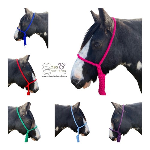 Coloured rope halter - coloured,