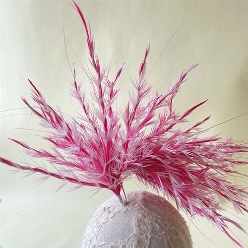 Colours goose biot feather - goose,