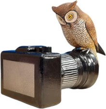 Hand Carved Wooden Home