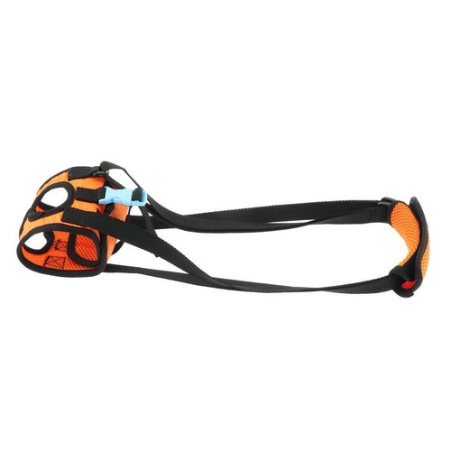 Dog lift harness support helps - dog,