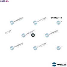 SEAL RING INJECTOR DRM03113