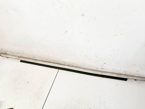 Molding door front left - molding,