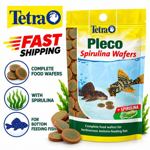 Tetra pleco spirulina - pleco,