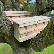 Sparrow Nest Box House Colony