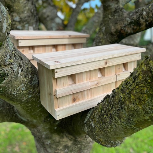 Sparrow nest box house - box,