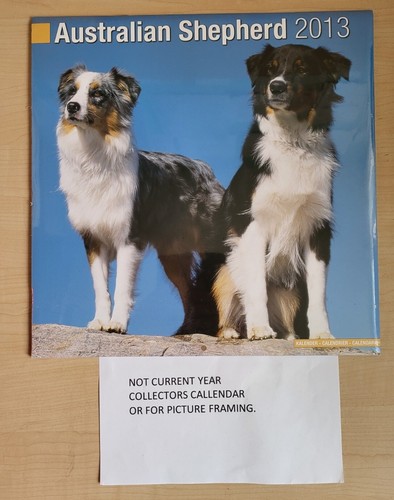 2013 australian shepherd - 2013,