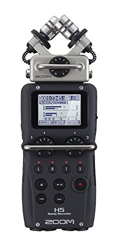 Zoom handy pcm field - h5,