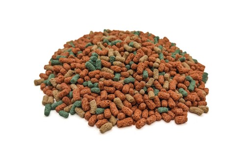 10kg premium koi pond food - premium,