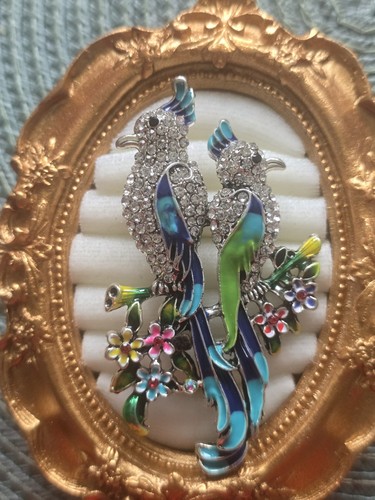 Enamel rhinestone parrot - &,