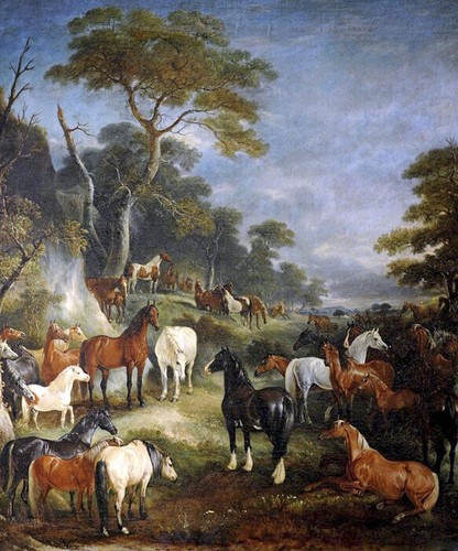 Council horses wild - council, horse
