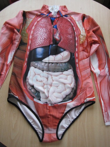 Novelty women swimming costume - novelty,