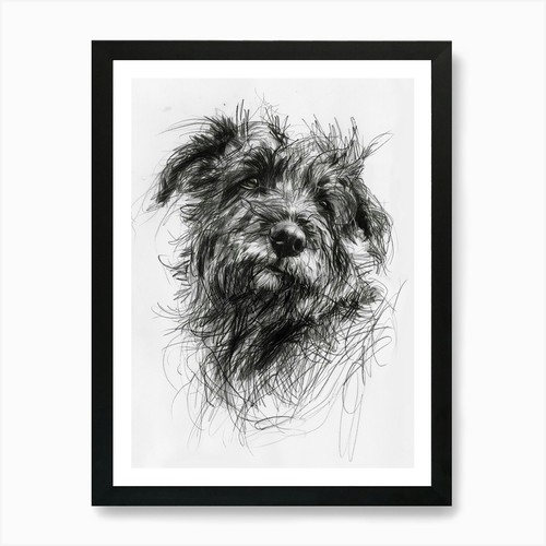 Pyrenean shepherd dog charcoal - shepherd,