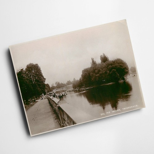Print vintage middlesex - print,