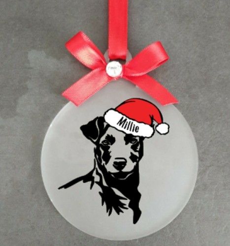 Patterdale terrier - patterdale,