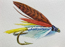 Watercolor Painting Fly