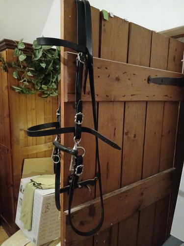 Portuguese double bridleblack - portuguese,