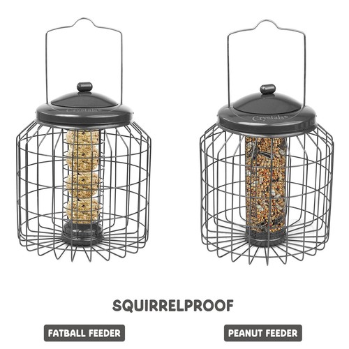 Squirrel proof hanging bird - squirrel,