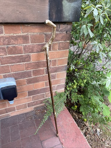 Handmade holly walking stick - holly,