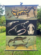 Jung Koch Quentell wall chart