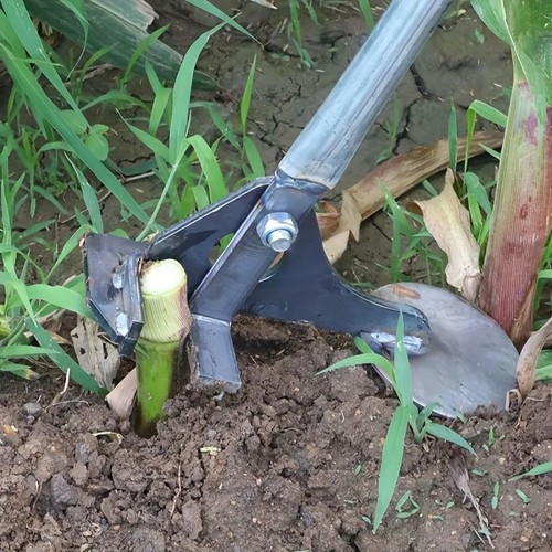 Manual root puller - root, for