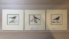 Meyer’s Birds Antique prints -  Hand Coloured vintage cottage core