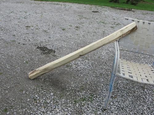 Hackberry bow - hackberry,