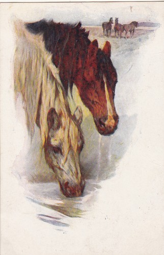 Vivian mansell postcard - a,