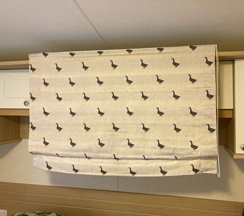 Beige black animal bird - &,