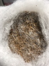 100 coconut mattress - coconut,