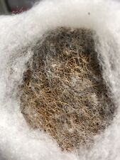 100% Coconut Mattress