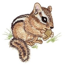 MACHINE EMBROIDERY DESIGNS USB