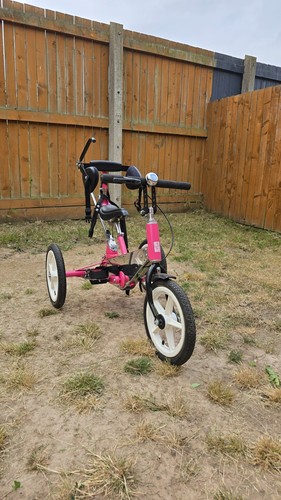 Tomcat trikes special - tomcat,