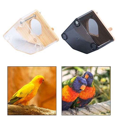 Parrot breeding box wood - parrot,