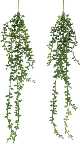 Artificial hanging succulent - hanging,