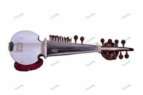 Instrument special sarod with - instrument,