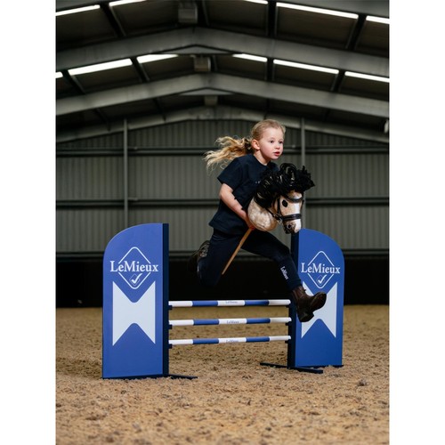 Lemieux hobby horse - lemieux,