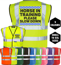 Equine Hi-Vis HORSE IN