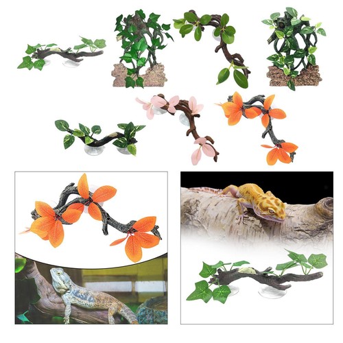 Gecko plant ornament habitat - plant,