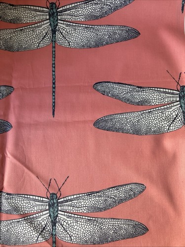 Remnant harlequin demoiselle - harlequin,