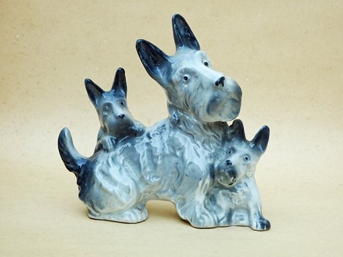 Scottish terrier scottie - scottish,