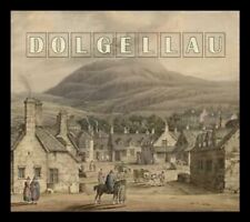 DOLGELLAU MERFYN WYN TOMOS PAPERBACK BOOK LOCAL HISTORY IMAGES WALES