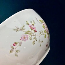 French Limoges Porcelain Café