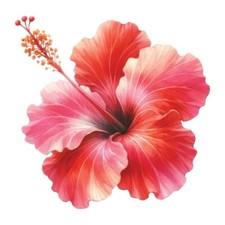 9x9cm flower wall decal