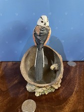 Country Artist Long Tail Tit