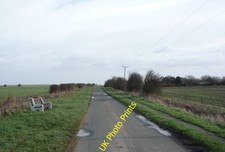 Photo 6x4 Wood Anemone carpet
