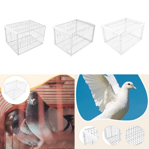 Pigeon trap cage - trap, metal