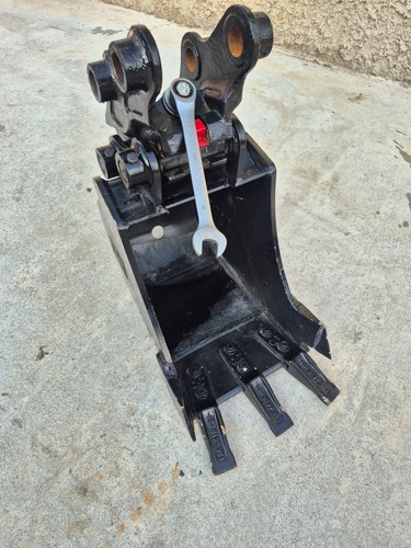 Cat bucket and - , semi