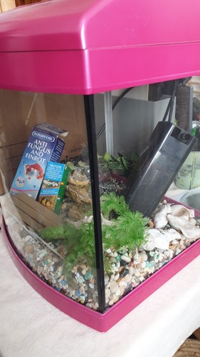 Aqua one aquastart 320 - aquastart,