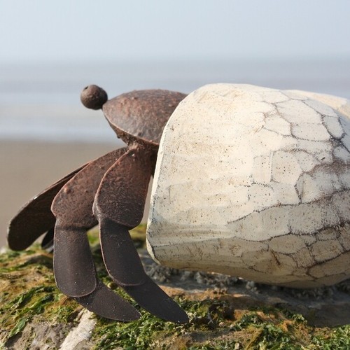 Decorative painted hermit crab - painted,